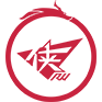 Team Falcons