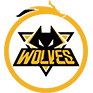 Fnatic